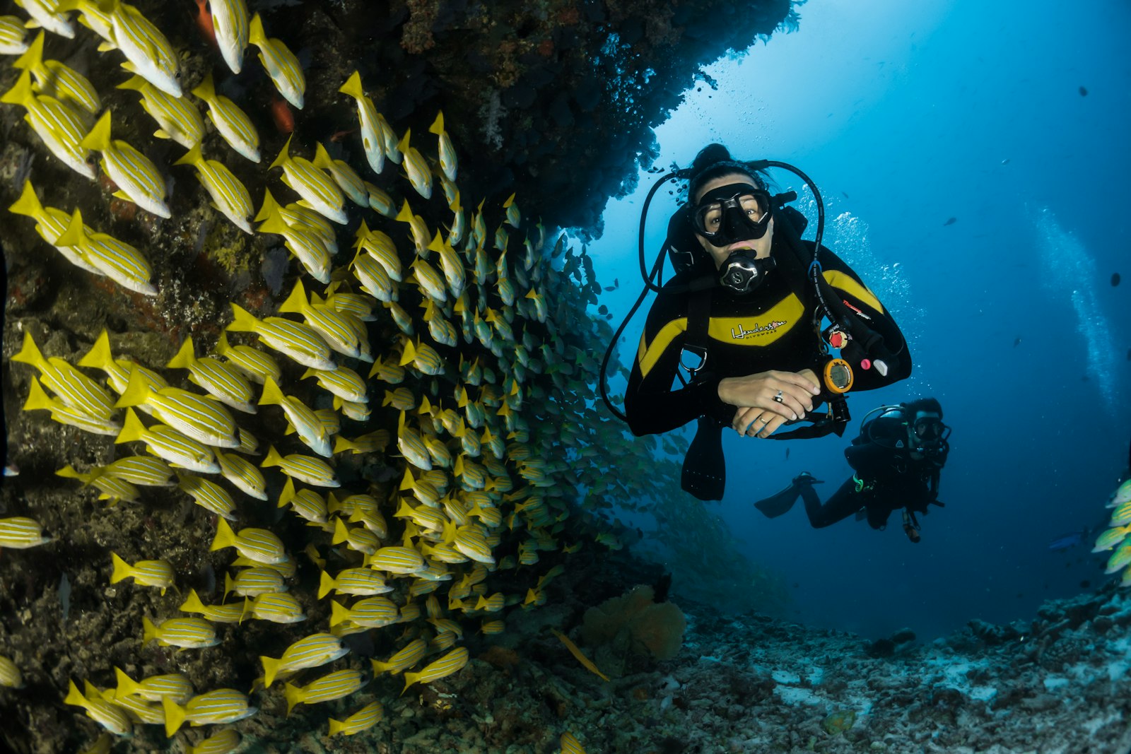 Scuba diver exploring clear blue open water